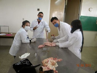 Photos of Facultad de Medicina Veterinaria y Zootecnia