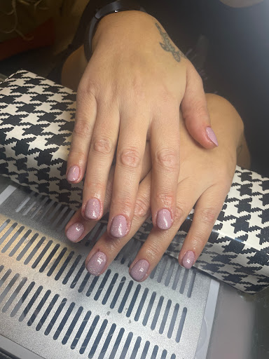 Estetica Dream - Thumbnail