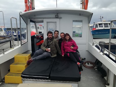 Photos of BoatTrips The Skellig Rock
