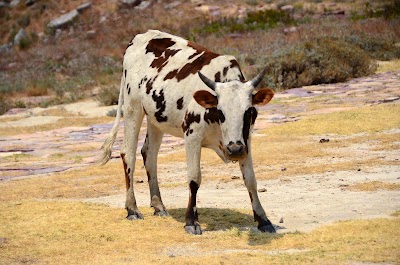 Photos of Tundavala gap