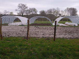 Photo n°3 de Le jardin des sables CBD à Cudos (Magasin de cannabis)