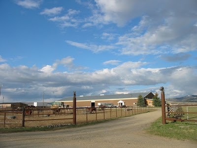 Fraser School of Driving, Wild Horse Books & Art, Mountain View Arena