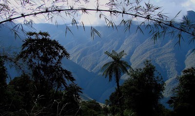 Photos of Cotapata National Park and Integrated Management Natural Area