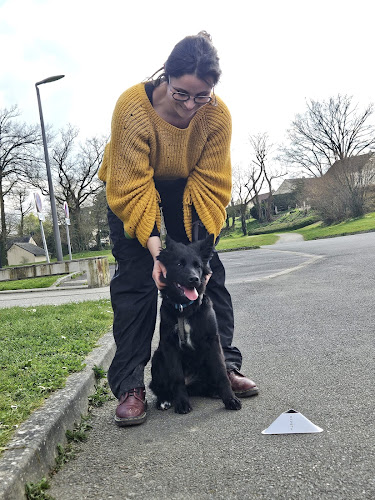 Opinii despre Ophélie Porcher - Éducatrice canine et Comportementaliste féline en Mayenne în Laval - Dresseur pour chiens