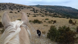 Photo n°10 de Equi-Larzac à La Vacquerie-et-Saint-Martin-de-Castries (Ranch)