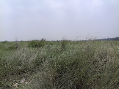 Photos of BGB Binodon Park