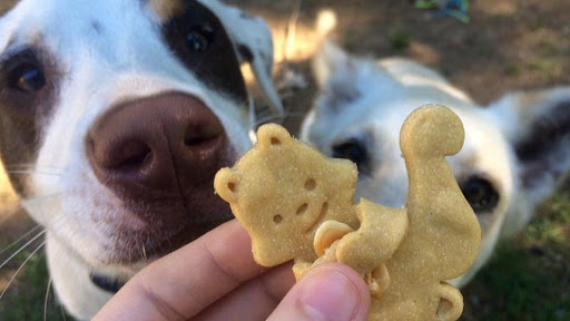 Crossed Paws Bakery Gallery - United States