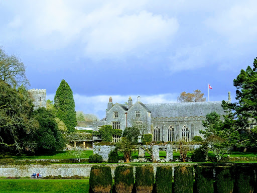 Dartington Arts - Thumbnail