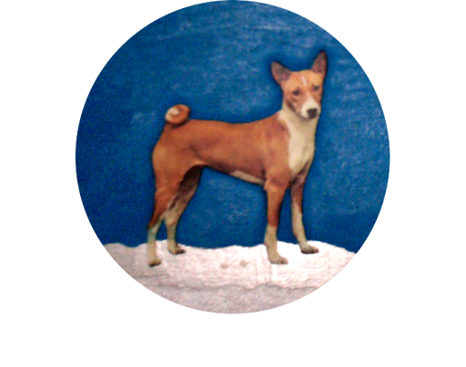 Terry May - Visual