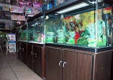 Fancy Aquarium City – Karachi