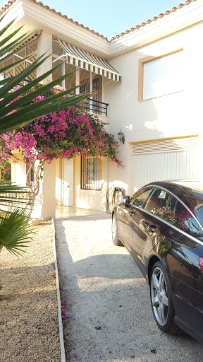 WeberAutos.com - Visual