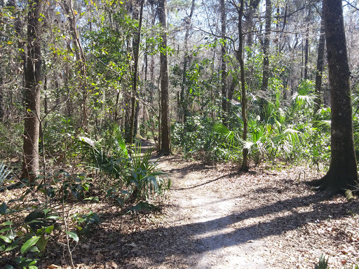Alfred A. Ring Park