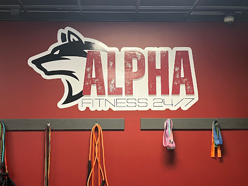 Alpha Fitness 24/7 Gallery - United States