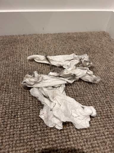 Eco Bond Carpet Cleaning - Thumbnail