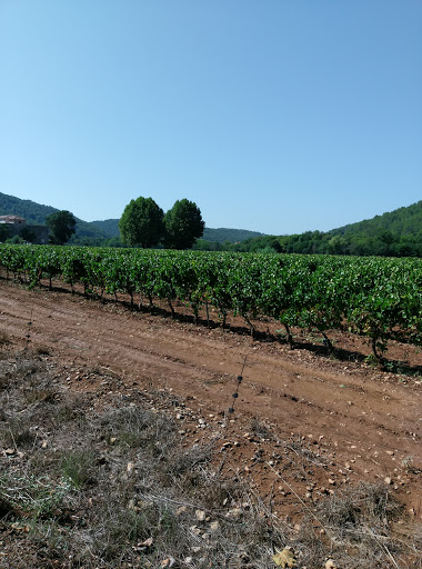 Les Domaines du Lac - France