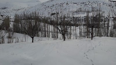 Photos of Vali Gazi Şimşek Hatıra Ormanı