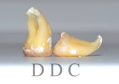 Photos of Delaka Dental Clinic