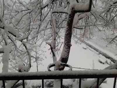Photos of &Ccedil;ukurca &Ccedil;ocuk Parkı