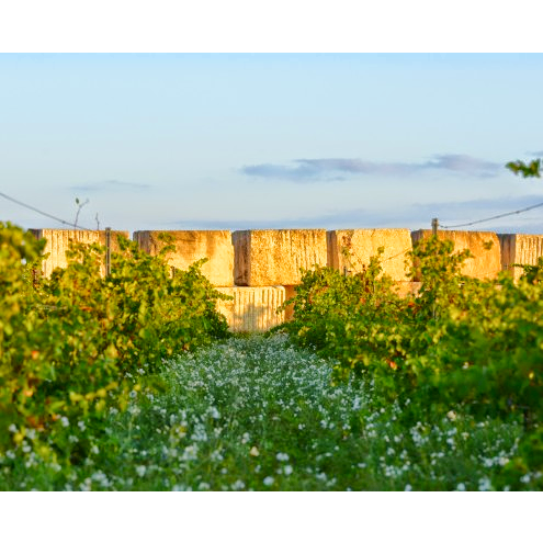 Domaine De La Janasse
