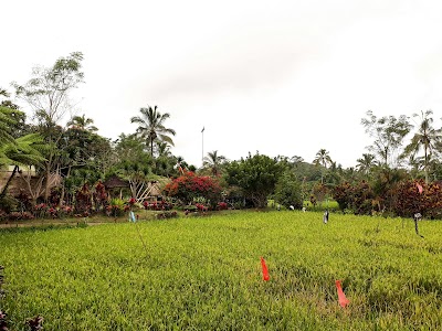 park