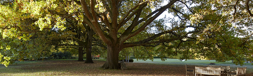 Mount Macedon Realty - Thumbnail