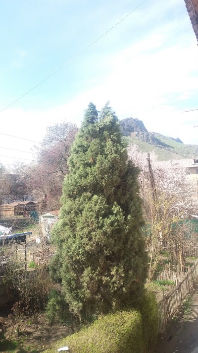 Photos of Pamir Hostel