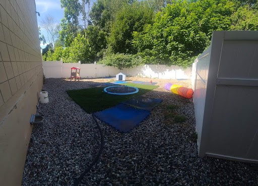 Lazy Dog Pet Salon & Daycare - Thumbnail