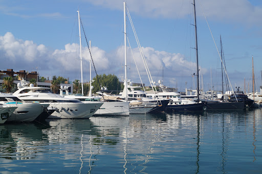 Parking palma