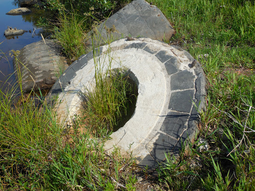 Pulpstone - Visual