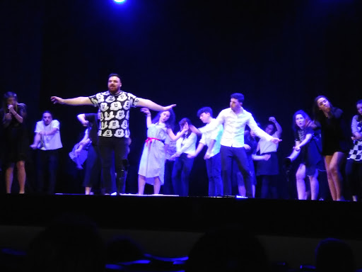 Teatro Olmi - Visual