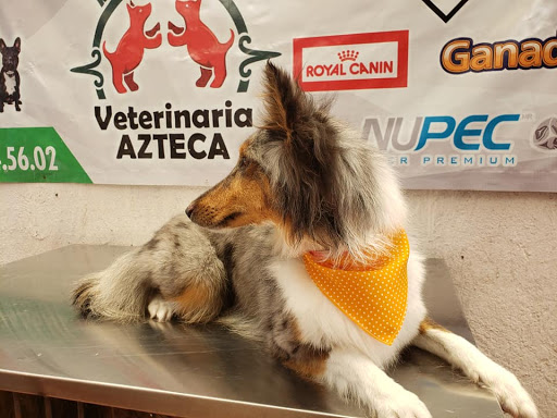 VETERINARIA AZTECA EL SALTO
