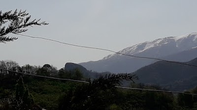 Tirebolu Teknik ve Endustri Meslek Lisesi