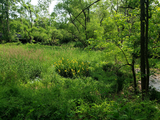 Lake Roland Park - Blue Trailhead - Thumbnail
