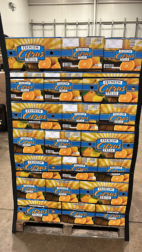 Kingdom Cold Storage - Visual