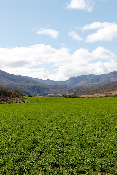 Photos of Kammanassie Nature Reserve