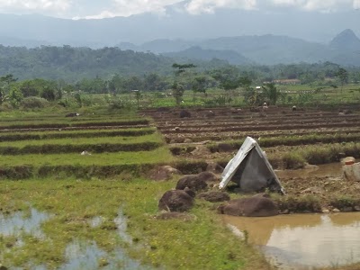 Photos of Barokah Agency