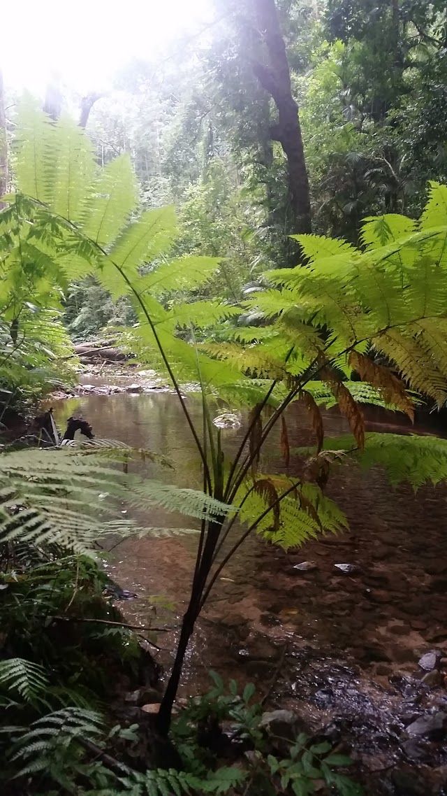 Big Crystal Creek