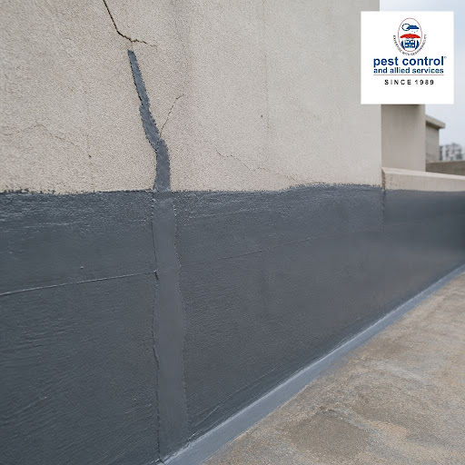 Protect your home from leaks, dampness, and hidden pest entry points with expert wall crack filli… post image