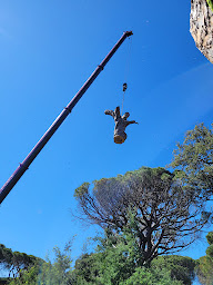 Photo n°20 de Arbrébois à Draguignan (Jardin)