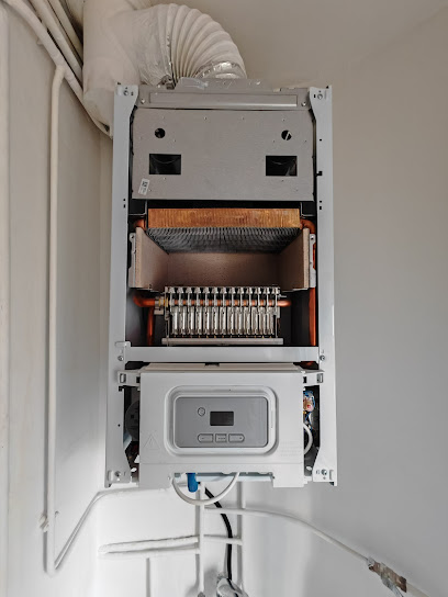 Entretien Ramonage DA SILVA