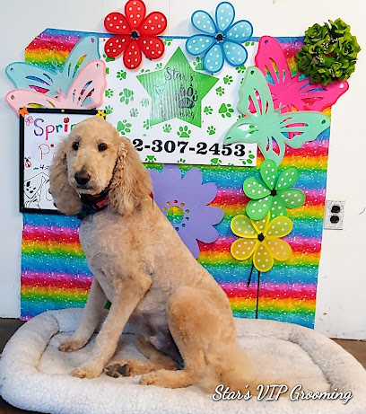 Star's V.I.P Grooming