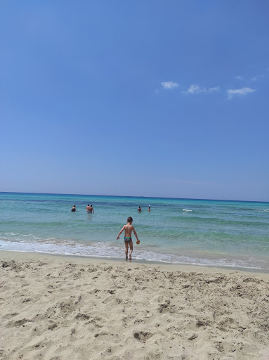 Astor Beach - Visual