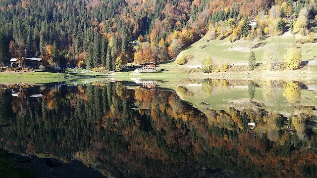 Lac De Montriond