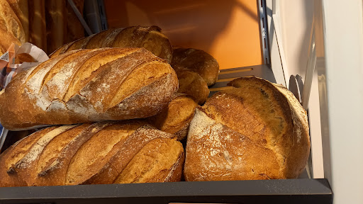 Grain de Blé - Thumbnail