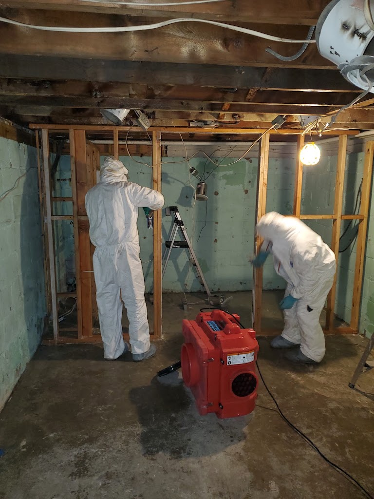 Healthy Home Services NY photo