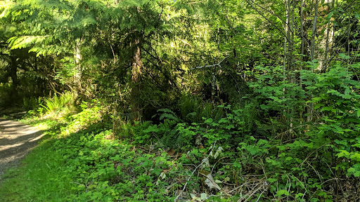 Cedar Mountain - Thumbnail