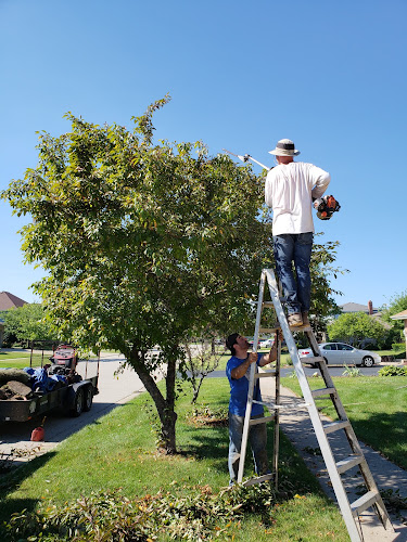 Countryway Maintenance
