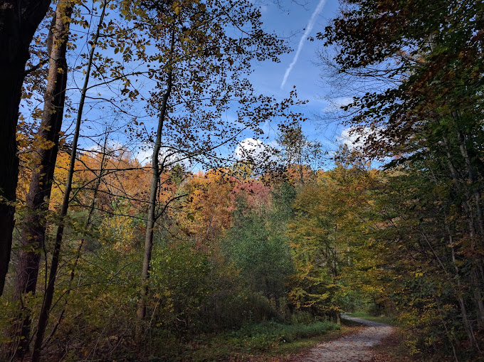 Sunnybrook Preserve Chardon OH