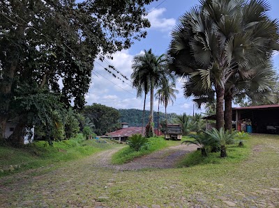 Photos of Vivero La Concha