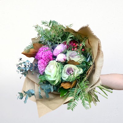 Photos of Flowers Across Sydney